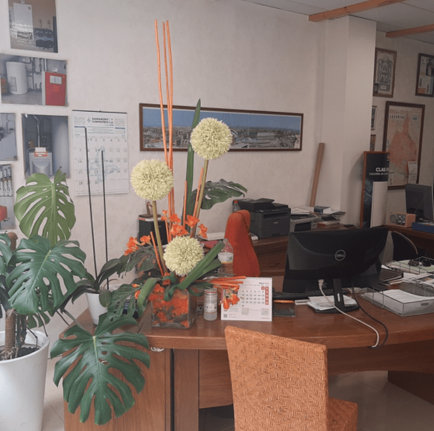 Oficina de Fontanería Bolinches con mostrador, decoración floral y documentación técnica en el fondo